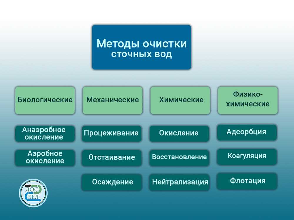 Биологическая очистка сточных вод: принципы и методы