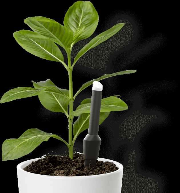 Бытовые устройства для умного ухода за растениями в домашних условиях
