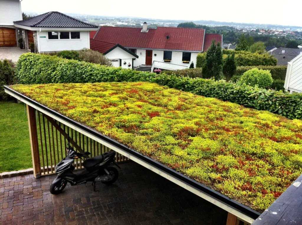 Дизайн городских крыш: зеленые крыши и их преимущества