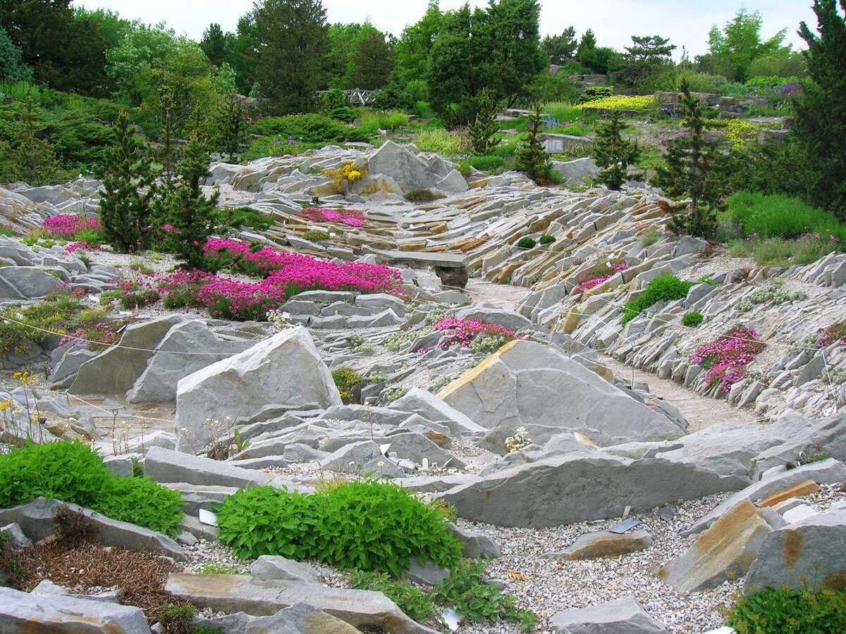 Идеи для создания каменистых садов