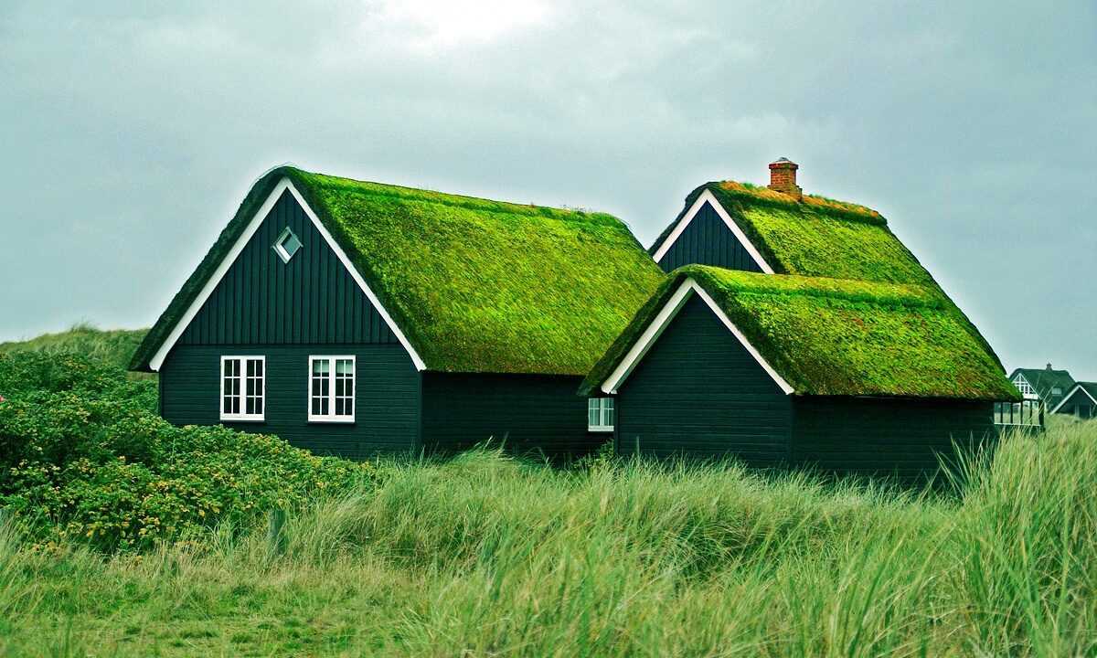 Зеленая крыша: экологичные решения в строительстве