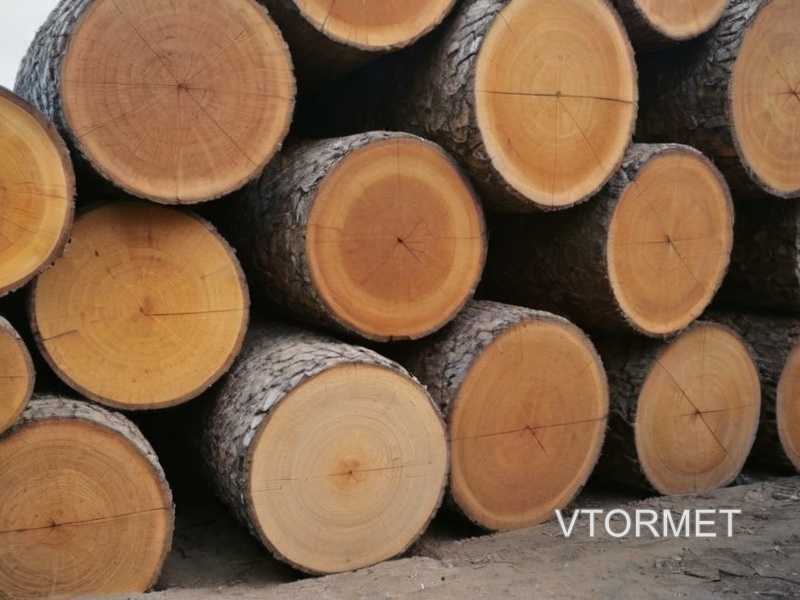 Устойчивые источники древесины