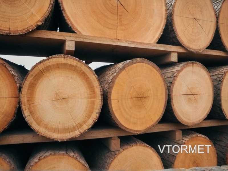 Методы защиты древесины от внешних воздействий
