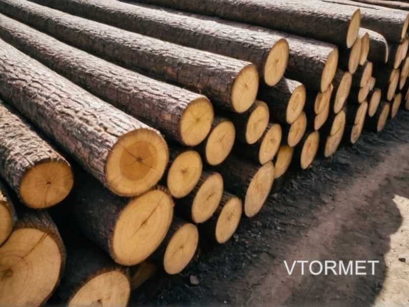 На что обратить внимание при хранении древесины до начала монтажных работ