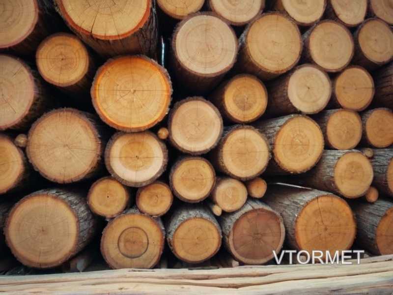 1. Контрастные оттенки древесины