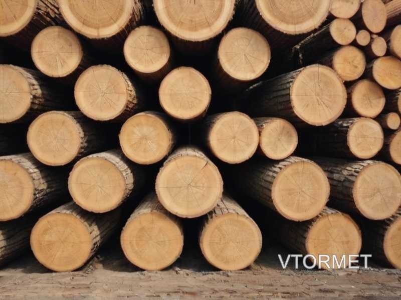 Какие виды отделки древесины лучше всего подходят для кухонных столешниц