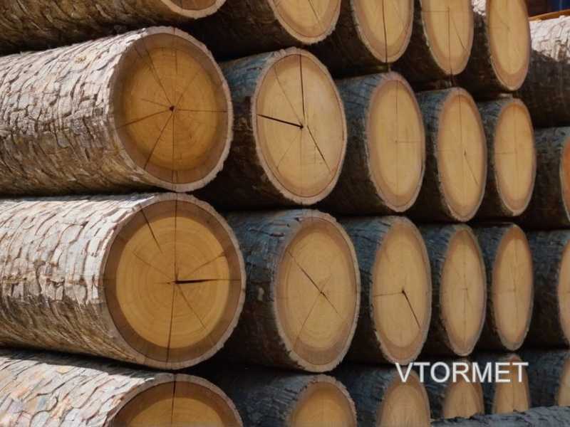 Особенности различных пород древесины