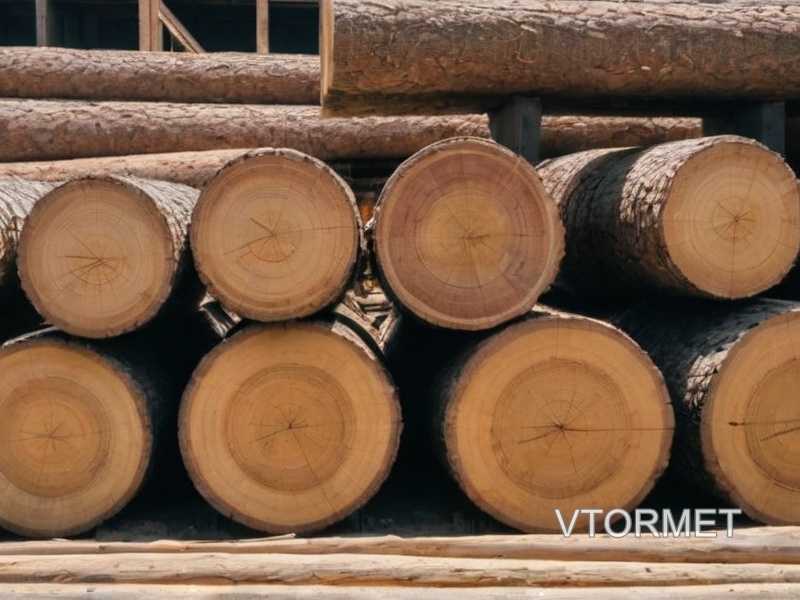 Выбор древесины для стен и панелей кухни