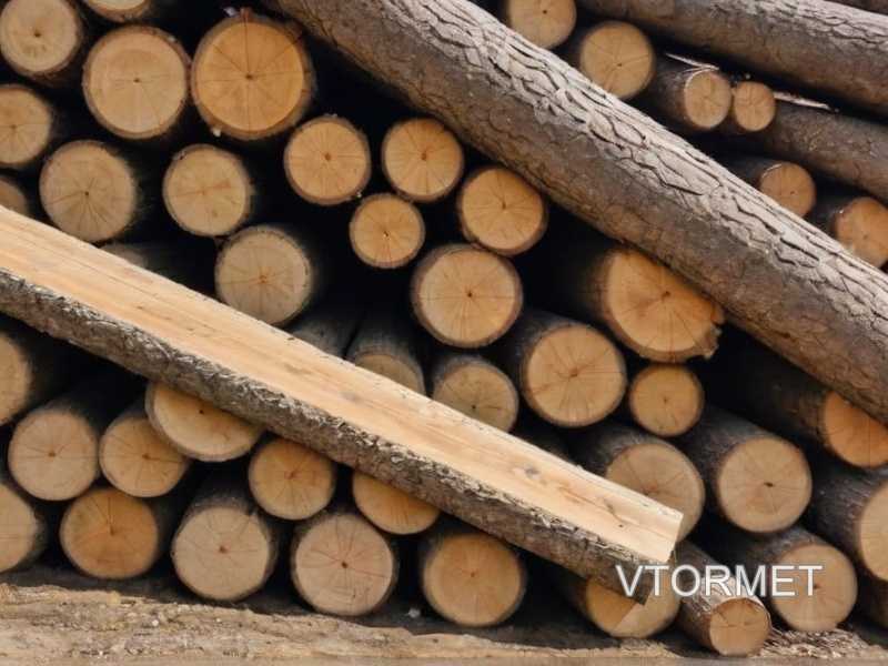 Как выбрать подходящий тип крепежных материалов для дерева