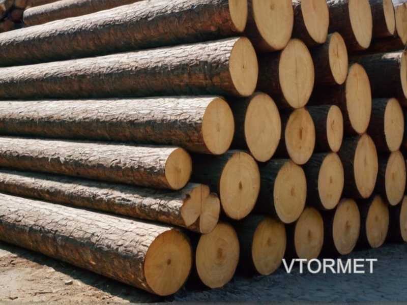Выбор подходящего типа древесины для изготовления панели