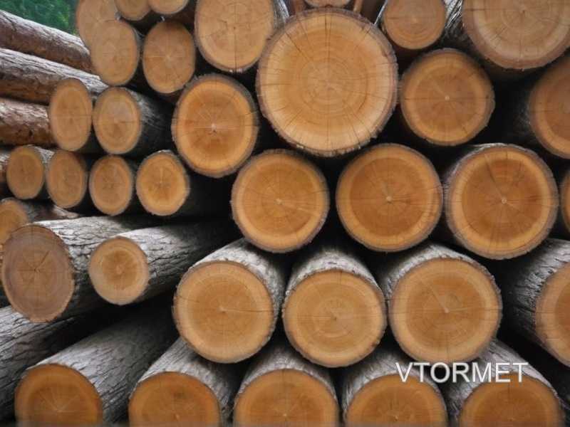 Какие пропитки и обработки обязательны перед монтажом