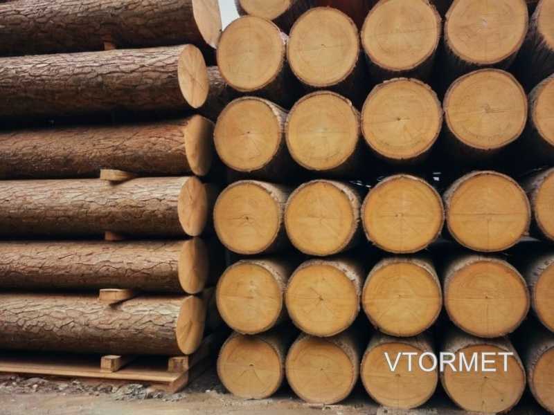 Регулярная чистка и полировка